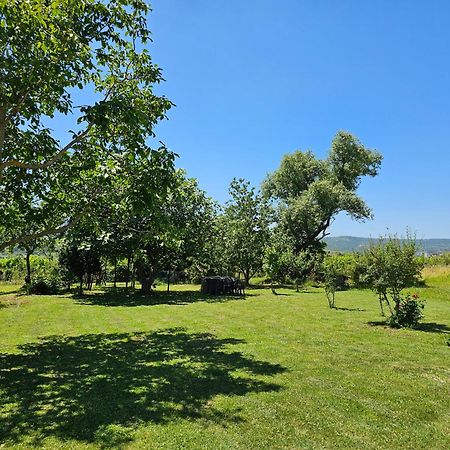 Apartma Bertoki Koper Zewnętrze zdjęcie